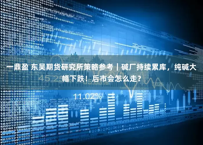 一鼎盈 东吴期货研究所策略参考｜碱厂持续累库，纯碱大幅下跌！后市会怎么走？