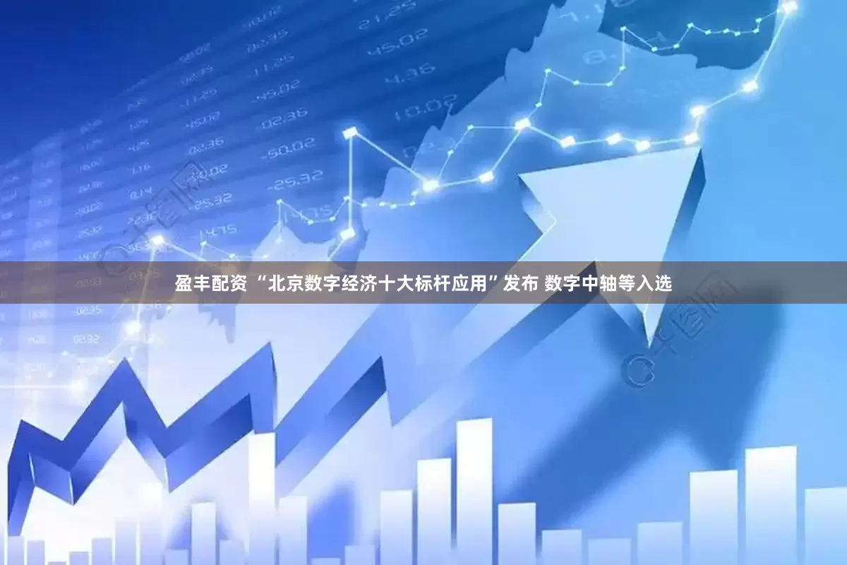 盈丰配资 “北京数字经济十大标杆应用”发布 数字中轴等入选