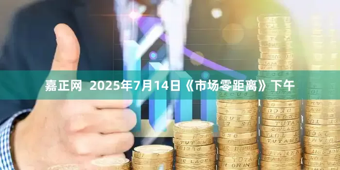 嘉正网  2025年7月14日《市场零距离》下午