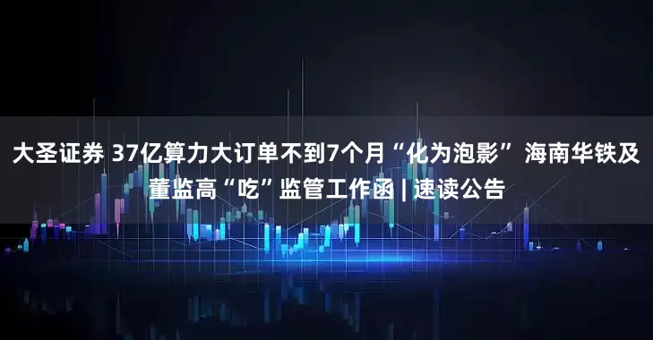 大圣证券 37亿算力大订单不到7个月“化为泡影” 海南华铁及董监高“吃”监管工作函 | 速读公告