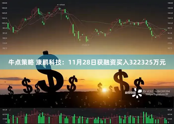 牛点策略 康鹏科技：11月28日获融资买入322325万元