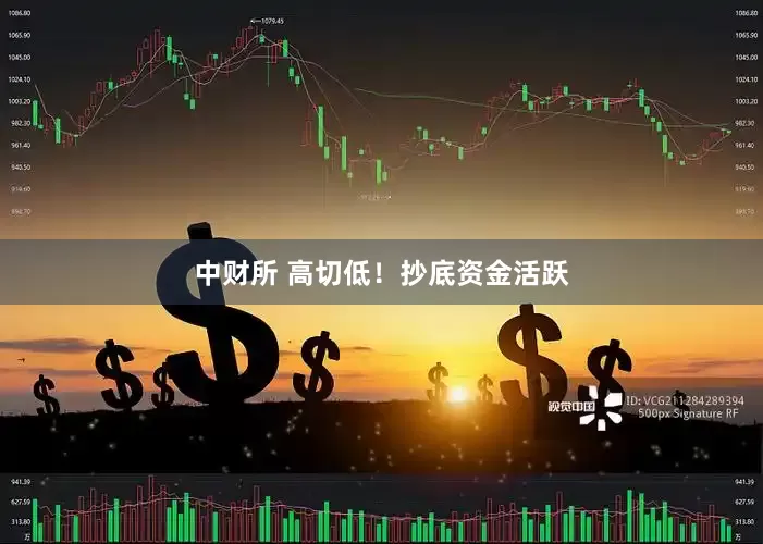 中财所 高切低！抄底资金活跃