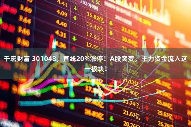 千宏财富 301048，直线20%涨停！A股突变，主力资金流入这一板块！